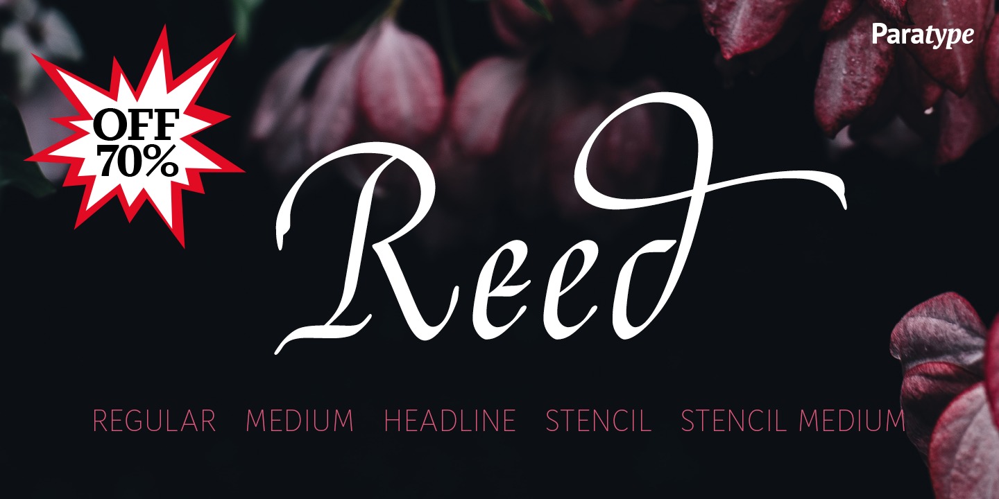 Пример шрифта Reed Regular